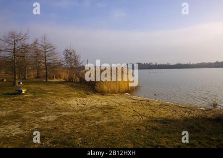 Le matin dans le lac Banque D'Images