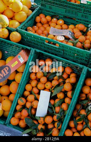 Caisses de clémentines sur le marché français des agriculteurs locaux Banque D'Images