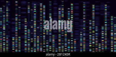 Visualisation de l'analyse génomique. Le séquençage des génomes de l'ADN, la carte génétique de l'acide désoxyribonucléique et la séquence génomique analysent le concept vectoriel Illustration de Vecteur