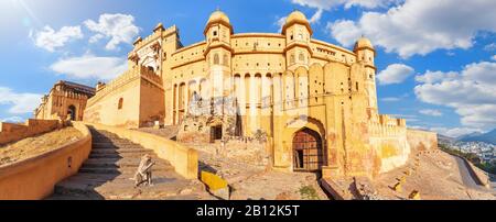 Fort ambré, beau panorama avec un singe mignon, Jaipur, Rajasthan, Inde Banque D'Images