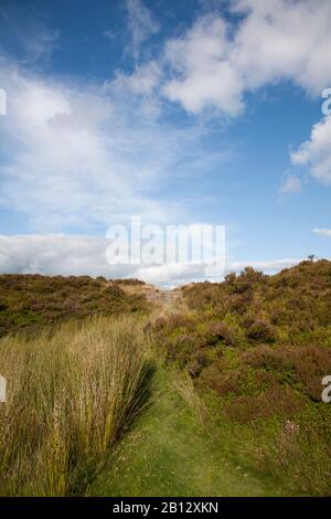 Chemin Sur Le Blorenge, Pays De Galles Du Sud Banque D'Images