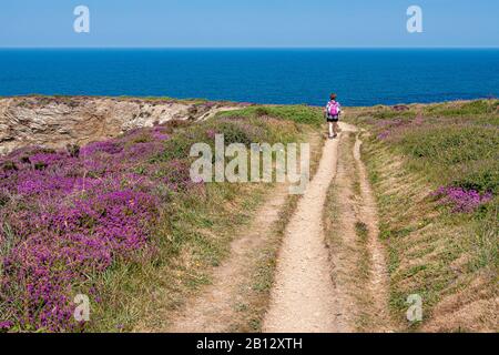 Un marcheur passe au-dessus de Gooden Heane Cove en direction des deux-vingt-cinq Porthtotan sur le sentier de la côte sud-ouest, près de Portreath, dans le nord de Cornwall, au Royaume-Uni. Banque D'Images