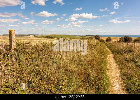 Fin de l'été dans le parc national de South Downs - sentier menant vers le sud-est depuis le Cissbury Ring vers tenants Hill, West Sussex, sud de l'Angleterre, Royaume-Uni. Banque D'Images