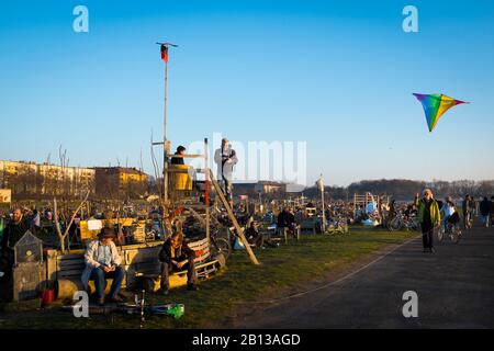 Jardin du quartier Schillerkiez, jardinage urbain sur le Tempelhofer Freiheit, Parc Tempelhofer sur l'ancien aérodrome de Tempelhof, Tempelhof, Berlin, Allemagne, Europe Banque D'Images