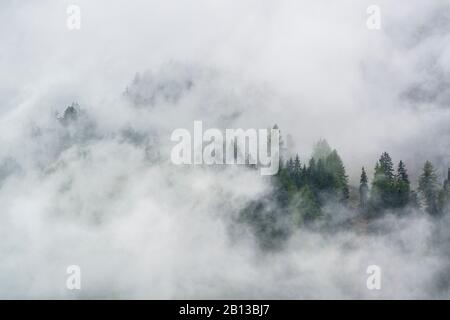 Brouillard Dans Le Parc National De Hohe Tauern, Autriche Banque D'Images