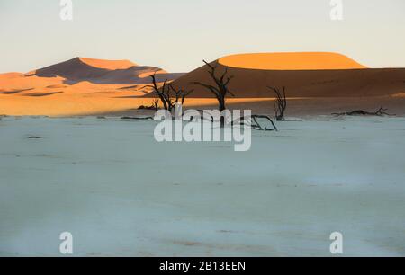 Les dunes rouges de Sossusvlei et les arbres morts de Deadvlei, Namibie Banque D'Images