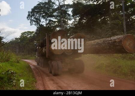 Camion avec bois,forêt équatoriale,Gabon,Afrique centrale Banque D'Images