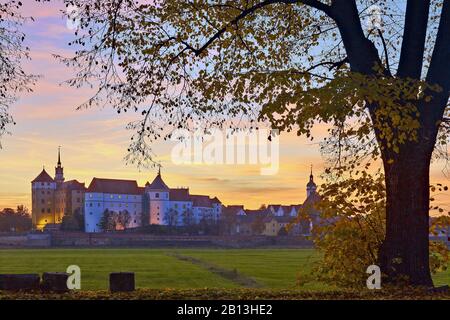 Château Hartenfels sur l'Elbe à Torgau, Saxe, Allemagne Banque D'Images