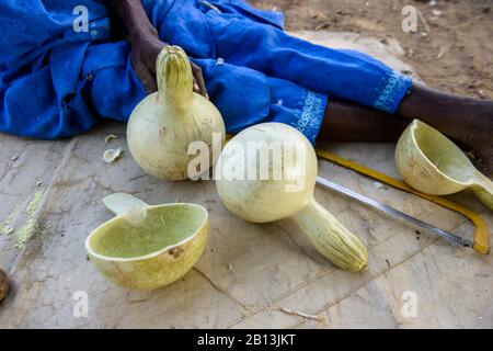 Un homme burkinabe dans son village, en coupant des citrouilles pour les transformer en récipients pour boire et manger, Burkina Faso Banque D'Images