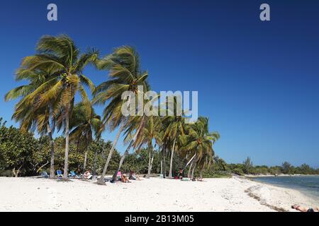 Palm Beach Playa Coco sur Kuba, Cuba Banque D'Images