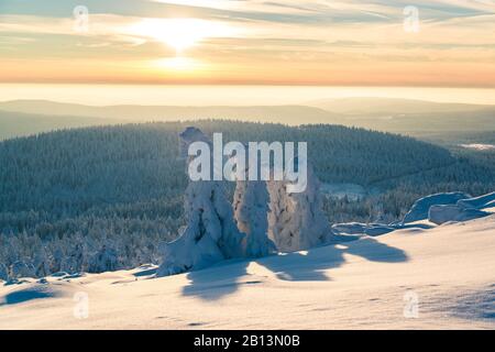 Paysage Hivernal À Brocken, Parc National De Harz, Saxe Anhalt, Allemagne Banque D'Images