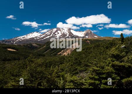 Belles randonnées au sud du mont Ruapehu au parc national de Tongariro, île du Nord, Nouvelle-Zélande Banque D'Images