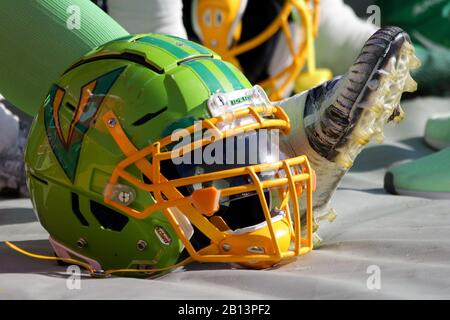 Tampa, Floride, États-Unis. 22 février 2020. Un casque Tampa Bay Vipers est vu pendant le match XFL entre les Roughnecks de Houston et les Vipers de Tampa Bay qui ont eu lieu au stade Raymond James à Tampa, en Floride. Andrew J. Kramer/CSM/Alay Live News Banque D'Images