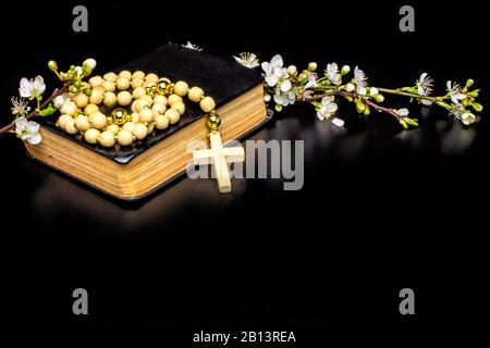 arbre de prune rosaire en bois fleurs blanches bible Banque D'Images