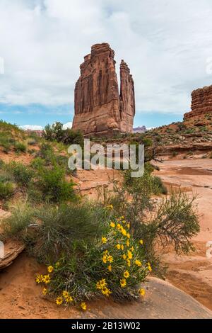 Courthouse Towers,Tour De Babel,The Organ,Arches National Park,Utah,Usa Banque D'Images