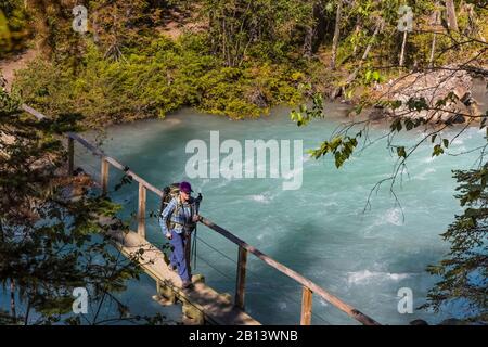 Le randonneur traversant la rivière Robson sur un pont à pied dans le parc provincial du Mont-Robson (Colombie-Britannique), Canada [pas de modèle de publication; permis de rédaction disponible Banque D'Images