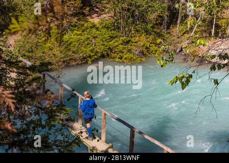 Le randonneur traversant la rivière Robson sur un pont à pied dans le parc provincial du Mont-Robson (Colombie-Britannique), Canada [pas de modèle de publication; permis de rédaction disponible Banque D'Images