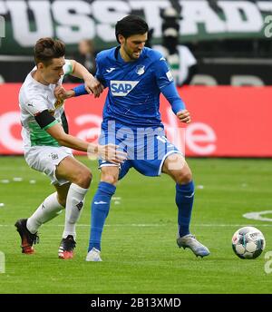 Monchengladbach, Allemagne. 22 février 2020. Florian Grillitsch (R) de Hoffenheim vies avec Florian Neuhaus de Monchengladbach lors d'un match de Bundesliga allemand entre Borussia Monchengladbach et TSG 1899 Hoffenheim à Monchengladbach, Allemagne, 22 février 2020. Crédit: Ulrich Hufnagel/Xinhua/Alay Live News Banque D'Images