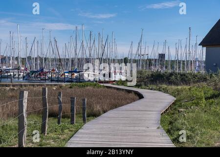 Passerelle à travers une réserve naturelle, Heiligenhafen, Mer Baltique, Schleswig-Holstein, Allemagne Banque D'Images