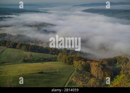 Brouillard matinal sur la vallée de Saale, Leuchtenburg, Seitenroda, Kahla, Thuringe, Allemagne Banque D'Images