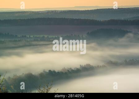 Brouillard matinal sur la vallée de Saale, Leuchtenburg, Seitenroda, Kahla, Thuringe, Allemagne Banque D'Images