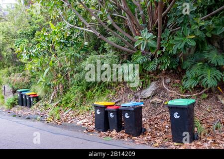 Collection australienne de bins ménagers, végétation verte, déchets généraux rouges, papier bleu et carton, jaune pour les plastiques et le verre, Sydney, Australie Banque D'Images