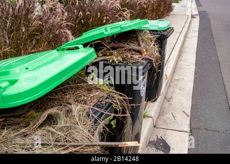 Bacs à roue à végétation verte australienne en attente de la collecte du conseil pour recyclage dans le compost, Sydney, Australie Banque D'Images