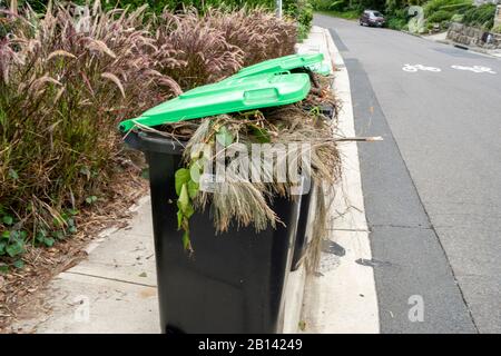 Bacs à roue à végétation verte australienne en attente de la collecte du conseil pour recyclage dans le compost, Sydney, Australie Banque D'Images