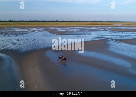 Des photos aériennes de cavaliers dans la mer des Wadden, à marée basse, Sankt Peter-Ording, Schleswig-Holstein, Allemagne Banque D'Images