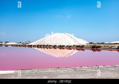 Marais salants d'Aigues-Mortes, Camargue, Sud de la France Banque D'Images