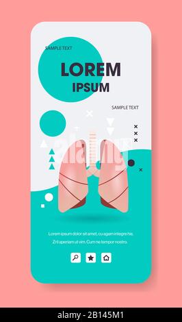 structure pulmonaire humain interne organe anatomie biologie santé concept médical système respiratoire écran smartphone application mobile vertical espace de copie plate illustration vectorielle Illustration de Vecteur