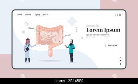 les médecins arabes qui examinent le système digestif de l'intestin humain consultation médicale inspection interne des organes examen traitement concept espace de copie horizontal illustration vectorielle pleine longueur Illustration de Vecteur