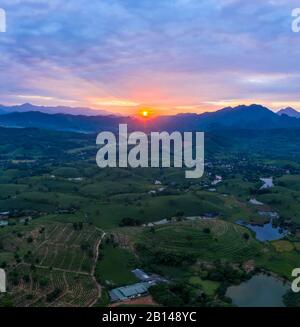 Coucher du soleil, plantations de thé avec des montagnes en arrière-plan, près de Hanoi, Vietnam Banque D'Images
