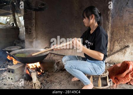 Production de riz collant, Nord Vietnam Banque D'Images