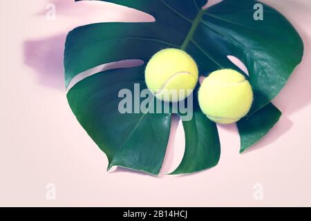 Tennis avec balles de tennis et feuilles tropicales Banque D'Images