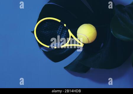 Tennis avec balles de tennis et feuilles tropicales Banque D'Images