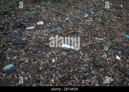 Pollution plastique massive à l'intérieur des Sundarbans, la plus grande forêt de mangroves au monde. Bangladesh Banque D'Images