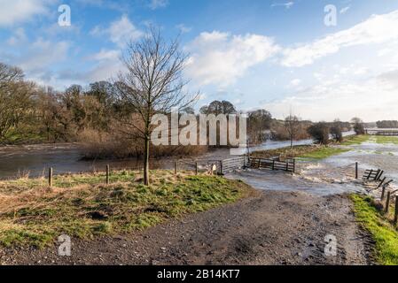 Sentier inondé le long de la rivière Ure à Wensley dans le Yorkshire du Nord Banque D'Images