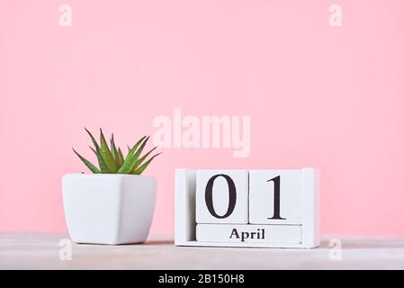 Calendrier des blocs en bois avec date 1 avril et plante sur fond rose. Concept de journée de la fête des fous d'avril Banque D'Images