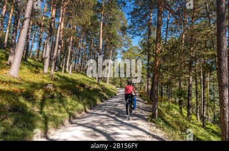 Cyclistes, VTT sur route de gravier à travers la forêt, route de gravier à la Karwendelhaus, Karwendeltal, Tyrol, Autriche Banque D'Images