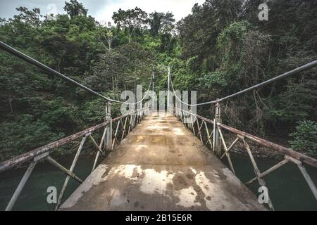 Pont suspendu dans la forêt de gren, jungle du Costa Rica Banque D'Images