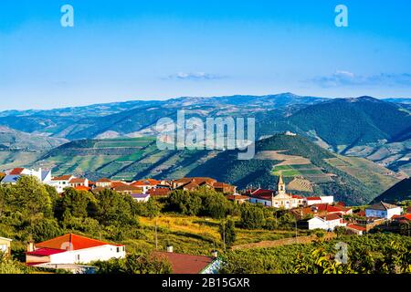 Vue sur Vineyard dans le village de Provesende dans la région de la vallée du Douro, au Portugal Banque D'Images