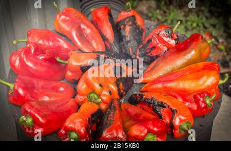 Paprika rouge torréfaction sur plage pour la saison automne hiver de dispositions , Banque D'Images