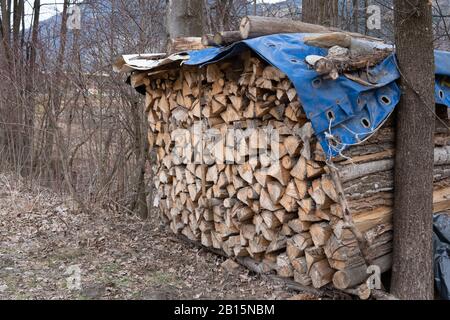 dans la forêt entre deux arbres, il y a une pile de bois haché recouvert d'une bâche Banque D'Images