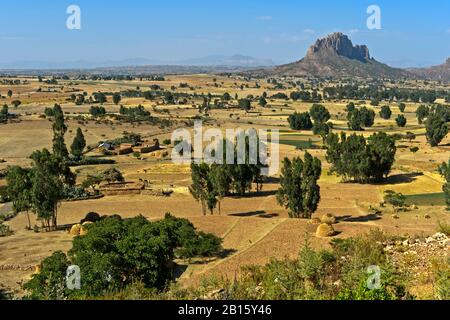 Paysage avec montagne érodée à plateau plat, Amba, dans les hautes-terres éthiopiennes, Tigray, Ethiopie Banque D'Images