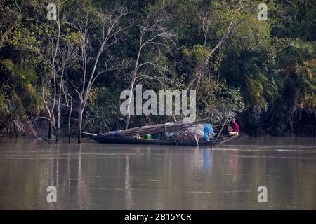 Un bateau de pêche à l'intérieur des Sundarbans, la plus grande forêt de mangroves au monde. Bangladesh Banque D'Images