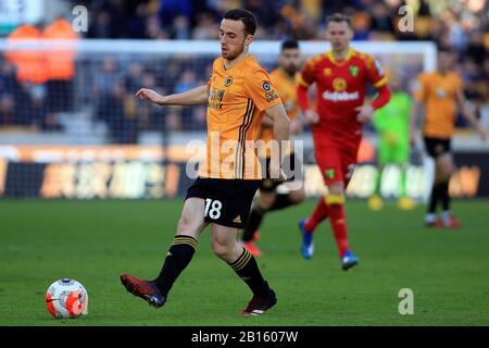 Wolverhampton, Royaume-Uni. 23 février 2020. Diogo Jota de Wolverhampton Wanderers en action. Premier match de ligue, Wolverhampton Wanderers / Norwich City au Molineux Stadium à Wolverhampton le dimanche 23 février 2020. Cette image ne peut être utilisée qu'à des fins éditoriales. Utilisation éditoriale uniquement, licence requise pour une utilisation commerciale. Aucune utilisation dans les Paris, les jeux ou une seule édition de club/ligue/joueur. Pic par Steffan Bowen/Andrew Orchard sports photographie/Alay Live news crédit: Andrew Orchard sports photographie/Alay Live News Banque D'Images