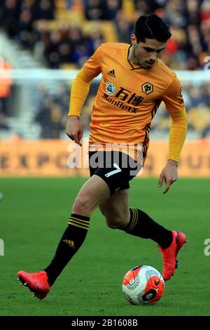 Wolverhampton, Royaume-Uni. 23 février 2020. Pedro Neto de Wolverhampton Wanderers en action. Premier match de ligue, Wolverhampton Wanderers / Norwich City au Molineux Stadium à Wolverhampton le dimanche 23 février 2020. Cette image ne peut être utilisée qu'à des fins éditoriales. Utilisation éditoriale uniquement, licence requise pour une utilisation commerciale. Aucune utilisation dans les Paris, les jeux ou une seule édition de club/ligue/joueur. Pic par Steffan Bowen/Andrew Orchard sports photographie/Alay Live news crédit: Andrew Orchard sports photographie/Alay Live News Banque D'Images