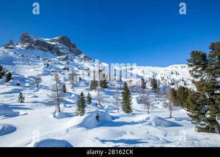 Dolomities Dolomiti Italie en hiver belles alpes hiver montagnes de sapin et de pins sur la pente de freeride Cortina d'Ampezzo Cinque torri montagne p Banque D'Images