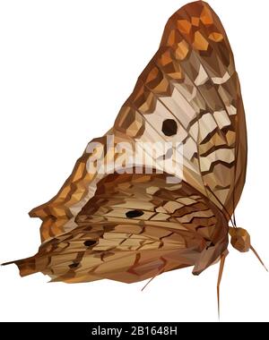 Illustration poly basse d'un papillon marron Banque D'Images